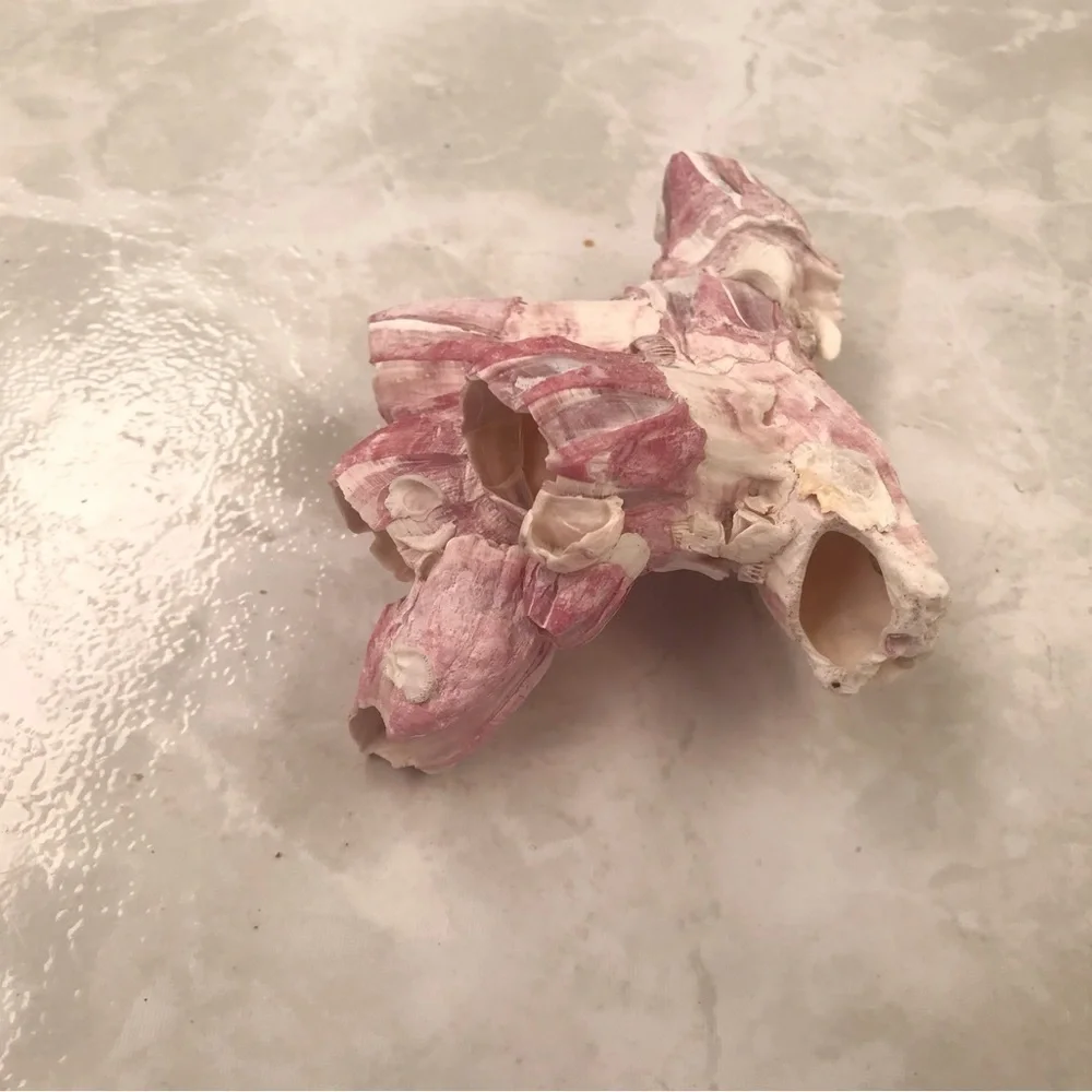 Custom shell bundle — PLEASE READ